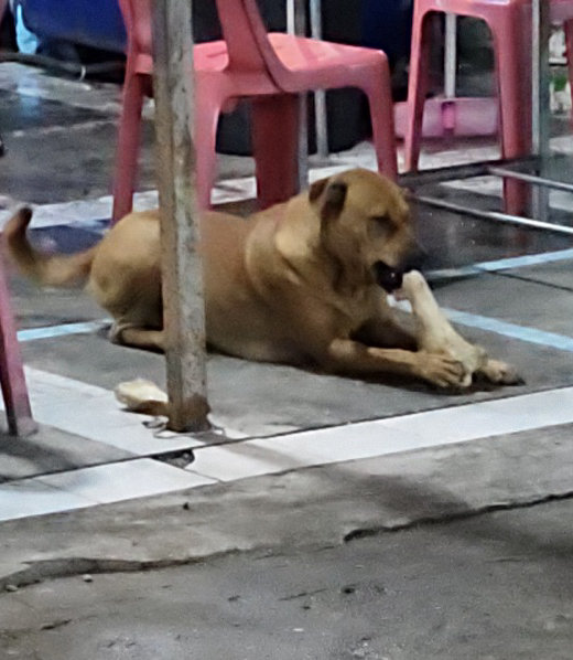 ธีรพงษ์ หูตกจอมแทะ