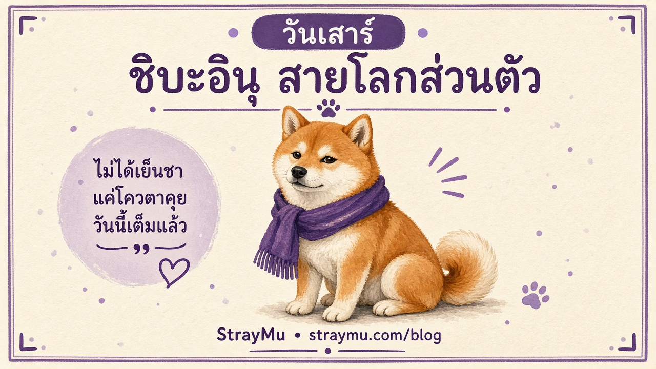 ชิบะอินุ สายโลกส่วนตัว ประจำวันเสาร์