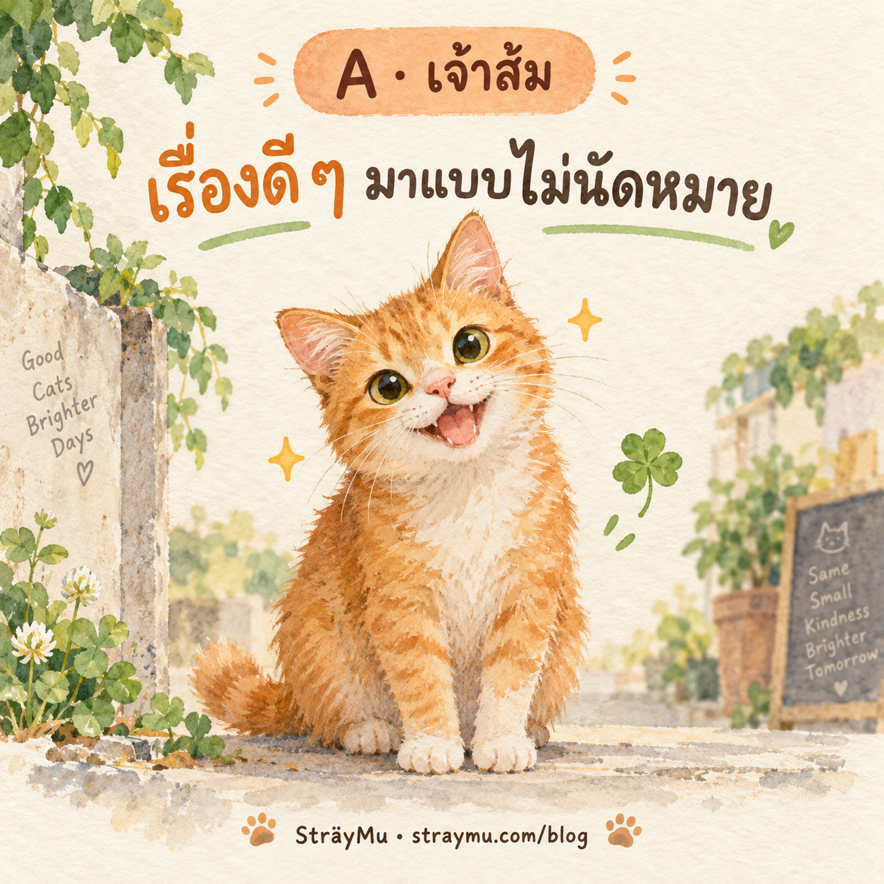 A — เจ้าส้ม