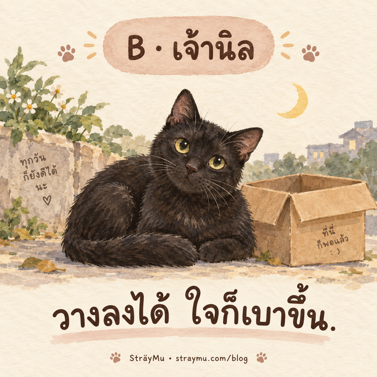 B — เจ้านิล