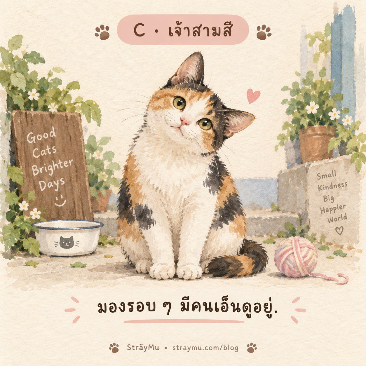 C — เจ้าสามสี