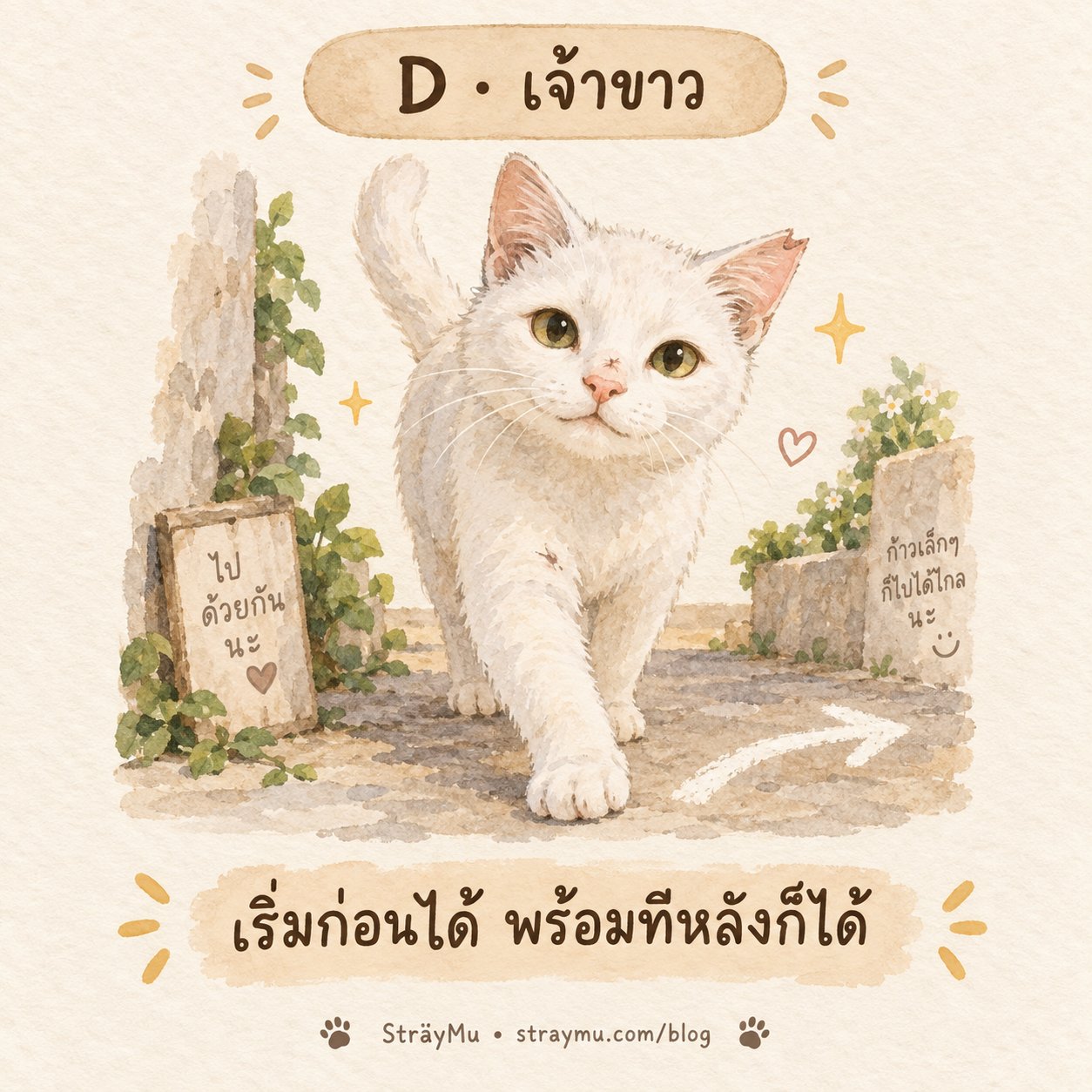 D — เจ้าขาว