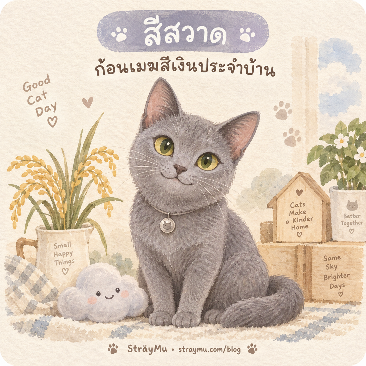 สีสวาด