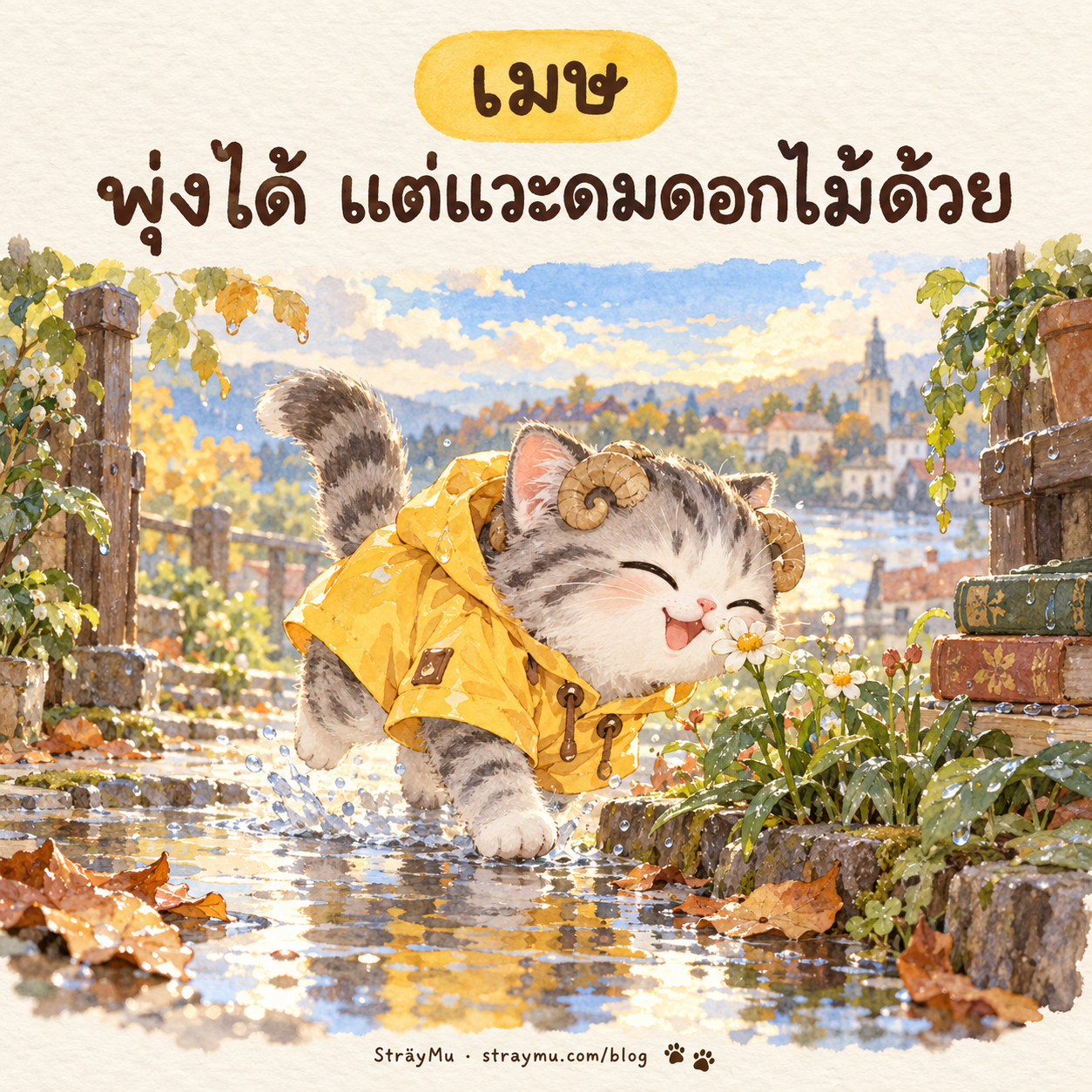 เมษ (21 มี.ค. – 19 เม.ย.) — น้องแมวลายสลิดเขาแกะ