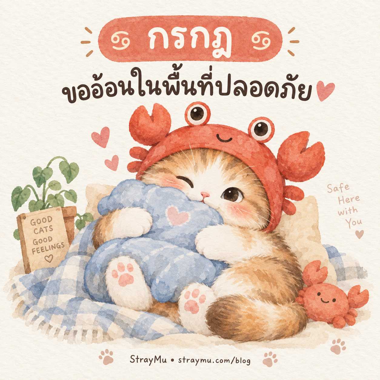 ♋ กรกฎ — น้องแมวหมวกปู