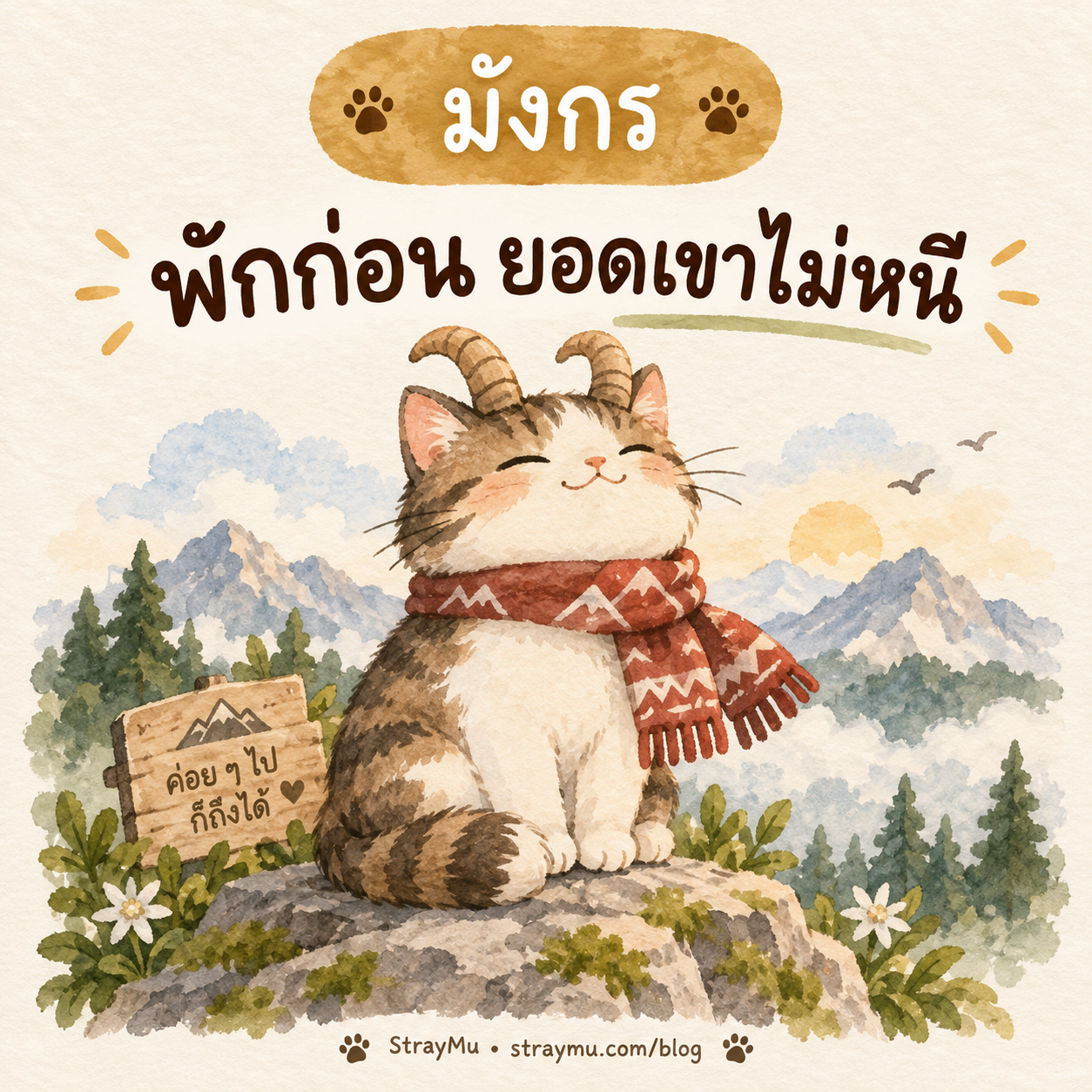 ♑ มังกร — น้องแมวเขาแพะผ้าพันคอ