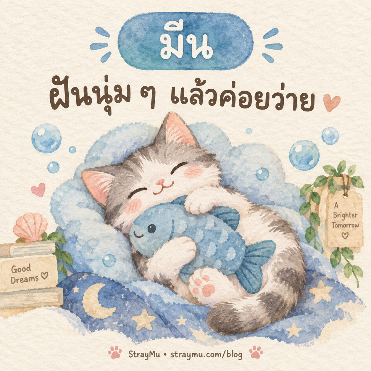 ♓ มีน — น้องแมวปลาผ้าฟองอากาศ